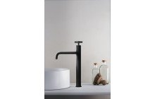 Bathroom Faucets picture № 11