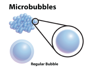 Bio Organic Catalyst Microbubbles